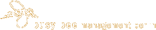 busy bee management berlin